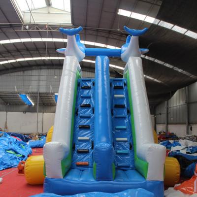 China Outdoor Entertainment Pool Doctor Water Amusement Park With Inflatable Bottlenose Dolphin Slide for sale