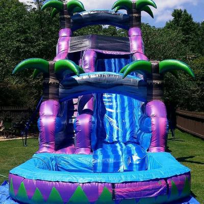 China Entertainment 18ft Indoor Outdoor Triple Hose Park Small Inflatable Water Slide With Pool For Kid for sale