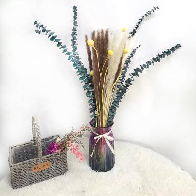 China Natural Dried Pampas Grass Touch Bouquet Decor Plume High Quality Stem Craspedia Fluffy Eucalyptus Leaf Dried Pampas Grass Set for sale