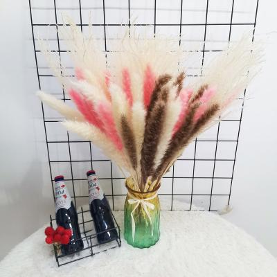 China Touch Factory Price Natural Decorative Dried Flowers In Total 40 Pcs Pampas Grass Nature Dried Decor Cream for sale