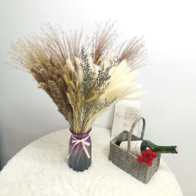 China Eternal Popular Small INS Total 70 Pampas Wheat Flower Lover Decorative Grass and Reed Grass Floating Dust Dried for sale