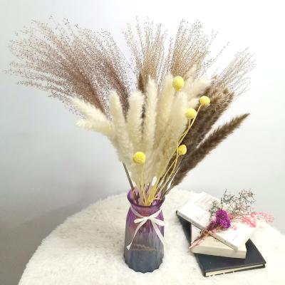 China Decoration Items Eternal White and Brown Color 65 Pcs and Yellow Craspedia Billy Balls Pampas Grass Set for sale