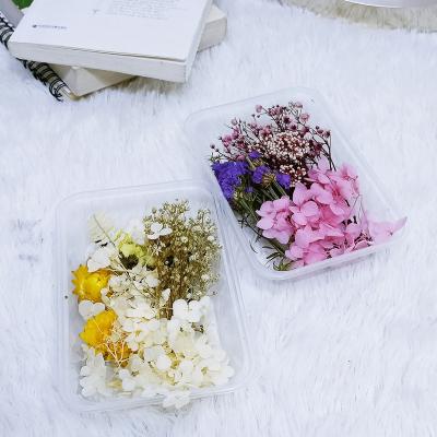 China DIY Romantic Accessories Natural Mixed Dried Flowers In A Box Flower Diy Patch for sale