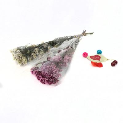 China Beautiful Colorful Home Decoration Preserved Dried Millet Flowers Rice Flower Long Lasting Bunch for sale