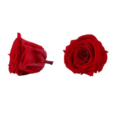 China Factory supply wholesale 4-5cm long lasting rose head flower forever in a box for sale