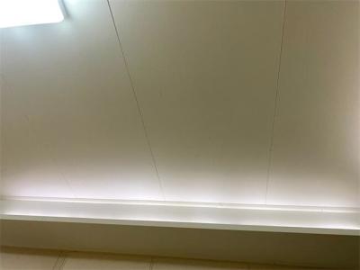 Cina Navi Marine Ply Ceiling Panels 3000mm 550mm 25mm in vendita