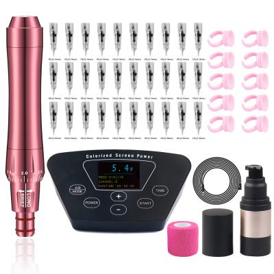 China Microblading Permanent High Quality Supply Professional Permanent Makeup Eyebrow Lips Tattoo PMU Machine Set for sale