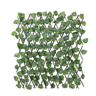 China Environmental Friendly And Pollution Free Expandable Ivy Privacy Screen Retractable Fence Sheet Te koop