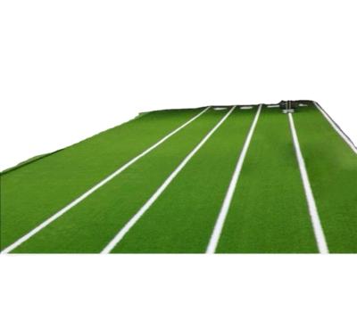 China Gymnasium Private Teaching Gym Sports Waterproof Artificial Lawn Gymnasium Sled Indoor Mat Grass for sale