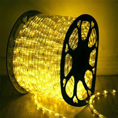 China Transparent PVC Waterproof LED Backlight Strip in Warm White for Landscape Outdoor 3- for sale