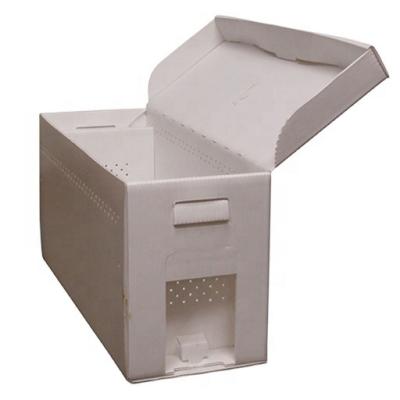 China Recyclable corrugated plastic bee hive bease uk/bee box nuc for sale