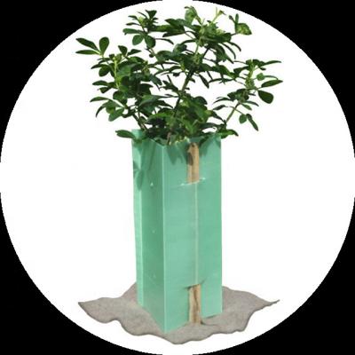 China Tree Protectors Customized Corrugated Plastic Tree Guards for sale