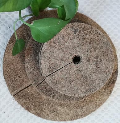 China Eco-friendly Coconut Coir Weed Control Mat Coconut Fiber Tree Ring Protector for sale