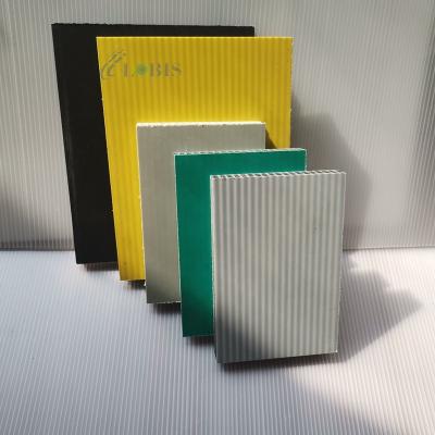 China Contemporary Plastic PP Shuttering Formwork PP Formwork Panels For Concrete for sale