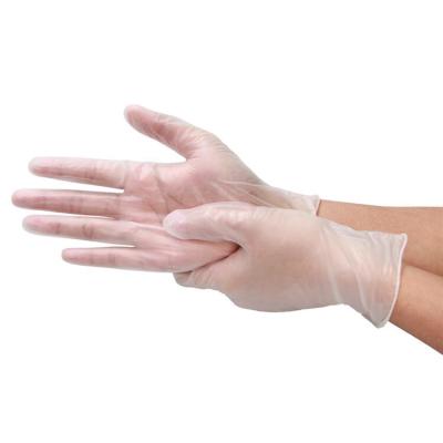 China Food Grade Vinyl Powder Free PVC Transparent Food Grade Gloves Thickened Restoration Baking Touchntuff Plastic Gloves Beauty Salon 100Pcs/Box for sale