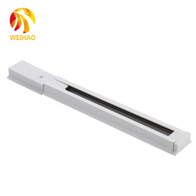 China 2021 New Product Store Commercial Stage 2m 1.5m 1m Modern 2 Wire Rail Track Light System for sale