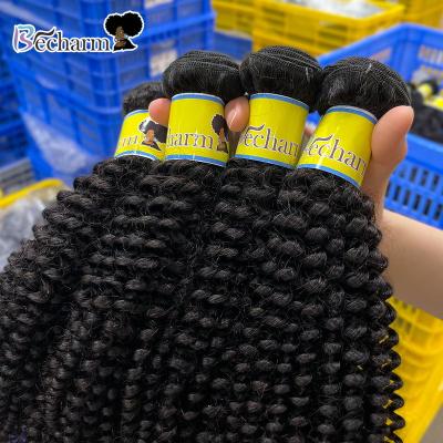 China Brazilian Virgin Hair Bundle Curly Excellent Quality Curly, 100% Virgin Cuticle Curly Hair, Cheap Hair Bulk Bundle for sale