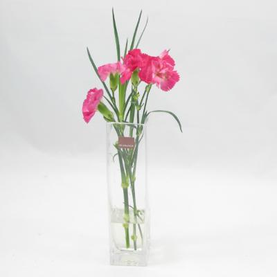 China Wholesale Traditional Simple Creative Clear Square Bud Tank Cylinder Glass Vase Small Vase for sale