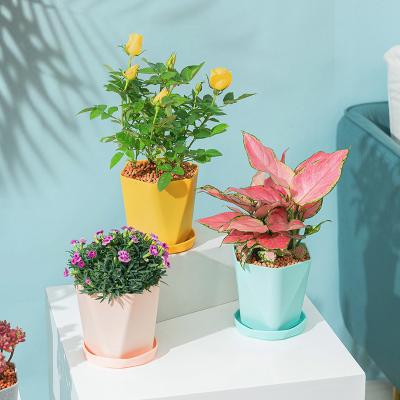 China Modern Plastic Flowerpot Thickened Extra Large Planting Flowerpot Around The Gallon Pink Green Basin Plastic Flowerpot Plant for sale