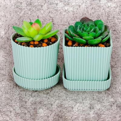 China Modern wholesale cheap double color plastic flower pot for landscaping landscape greening private garden decorative flower pots for sale