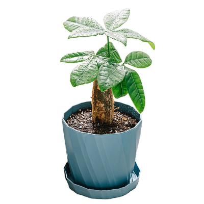 China Modern Popular Promotional Classic Customizable Plastic Indoor Flower Pot Solid Flower Pot Plastic Solid Flower Pot for sale