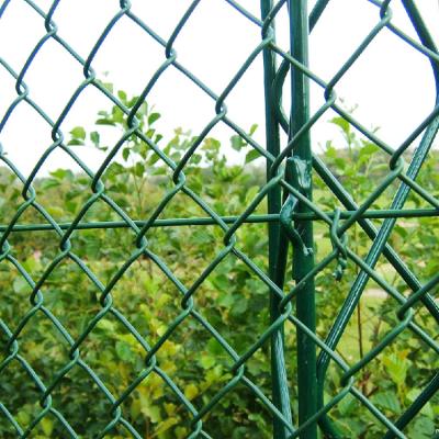 China Fence Mesh Wholesale Bottom Price 9 Gauge 50x50mm PVC Coated Iron Chain Link Wire Mesh Fence For Baseball Fields for sale