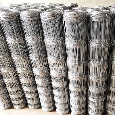 China Mesh High Quality Goat And Sheep Fence Panel /Hinge Seal Field Fence / Cattle Fence for sale