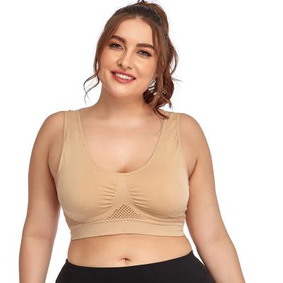 China Sports Quick Dry Padded Bra Antibacterial Women Large Sizes Plus Size 4xl Color Yoga Sports Nude Bra for sale