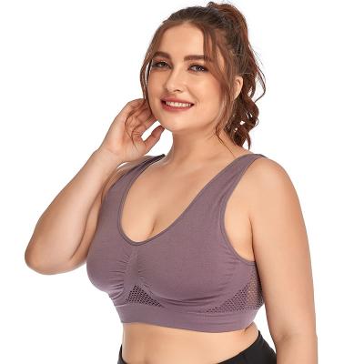 China Antibacterial Sports Plus Size Adjustable High Medium Light Support Working Bras for sale