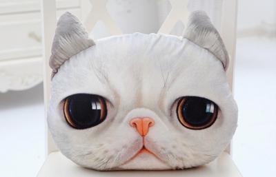 China 3D Cat Face Gifts Soft Stuffed Plush Pillow , decorative pillows for couch for sale