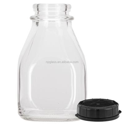 China Milk 16 oz. Squat pint glass milk bottles with black caps for sale