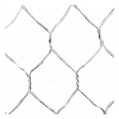 China Construction Wire Mesh Anping Factory Hexagonal Mesh Chicken Wire Fencing PVC Coated Hexagonal Wire Mesh for sale