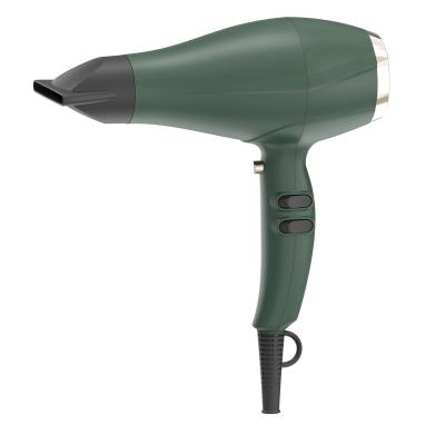 China Other 2022 Powellercosmo New Design AC Motor 2400W High Power 2 Speed ​​Professional Hair Dryer for sale