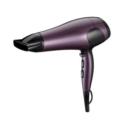 China Other 2022 Powellercosmo New Design DC Motor 2000W High Power 2 Speed ​​Professional Hair Dryer for sale