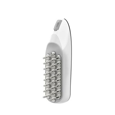 China Hot Selling Multifunction Beauty Equipment Scalp Massage Comb EMS RF Electric Hair Growth Brush for sale