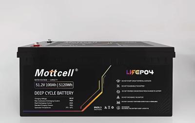 China LiFePO4 Industrial Lithium Battery 48V 100Ah For Electric Forklift and solar energy for sale