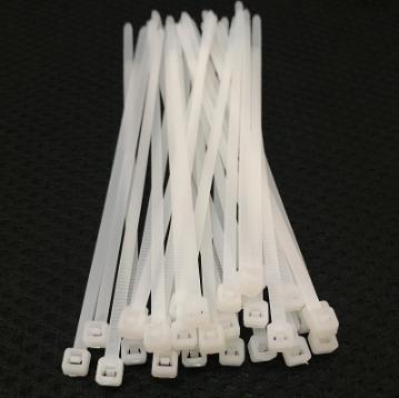 China Nylon Sell Well New Type Manufacturer In China Oem Factory Plastic Self-locking Nylon Cable Tie for sale