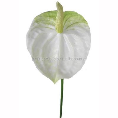 China Whole Sale Real Touch Anthurium Flower Stem 44cmH Artificial Silk Anthurium Flower For Decor Wedding Home Decor Silk Customized for sale