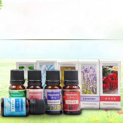 China New 100% Wholesale Herbal Aroma Certified Organic Shower Spa Rosemary Essential Oil Good Quality Wholesale Herbal Aroma Private Label for sale