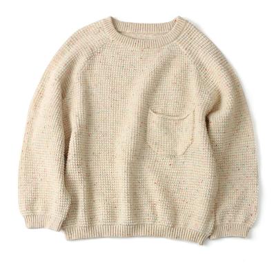 China Low MOQ Anti-Shrink Wholesales Fall Color 100% Cotton Long Sleeve Pullover Plain Knitted Baby Kids Crewneck Top Sweater for sale