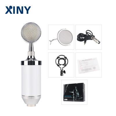 China Xiny professional wholesale price wired professional recording studio condenser microphone for sale