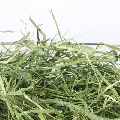 China Stored Natural Green Safety Guaranteed Timothy Grass Rich Nutrition Health Tasty Delicious Contains No Harmful Substances Rabbit Food for sale