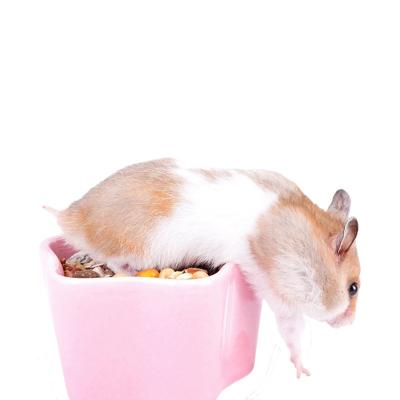 China Squirrel Hedgehog Pet Honey Bag Squirrel Bowl Ceramic Hamster Paste Bowl Stocked Feeding Bowl for sale