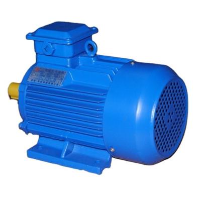 China Low RPM High Torque 2HP 3HP Horizontal Vertical AC Induction Motor Totally Enclosed for sale