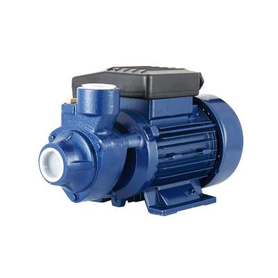 China Other IDB45 220v 0.55kw 0.75hp 50m 50L/Min 1 inch garden irrigation clean water electric peripheral water pump for sale