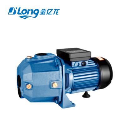 China Other home use high lift water pump for garden and irrigation DP255A 220v 0.55kw 0.75hp jet pump for deep well water pump for sale