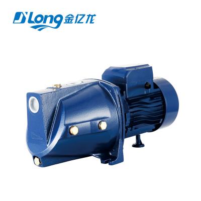 China Other JET60 220v 0.37kw 0.5hp 36m High Lift Home Use 35l/min Self Priming Jet High Pressure Electric Water Pump for sale