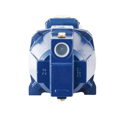 China High Efficiency 0.5hp JET Series Electric Self-priming Surfaces Shallow Well Water Pump for sale