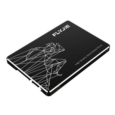 China High Speed ​​SSD 1TB 2.5 SSD Flyjie 2.5 Inch SATA3 3D Thin Layer Chromatography 120gb 128gb 240gb 256gb 480gb Solid State Drive for sale