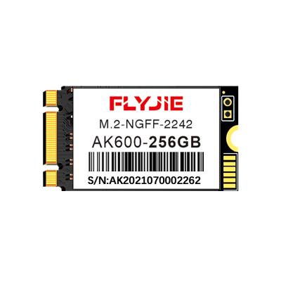 China Flyjie Factory Wholesale SSD 120GB 128GB m2 2242 Solid State Drive for Mini PC or POS for sale